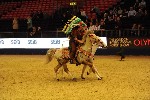 Quadrille - 00367